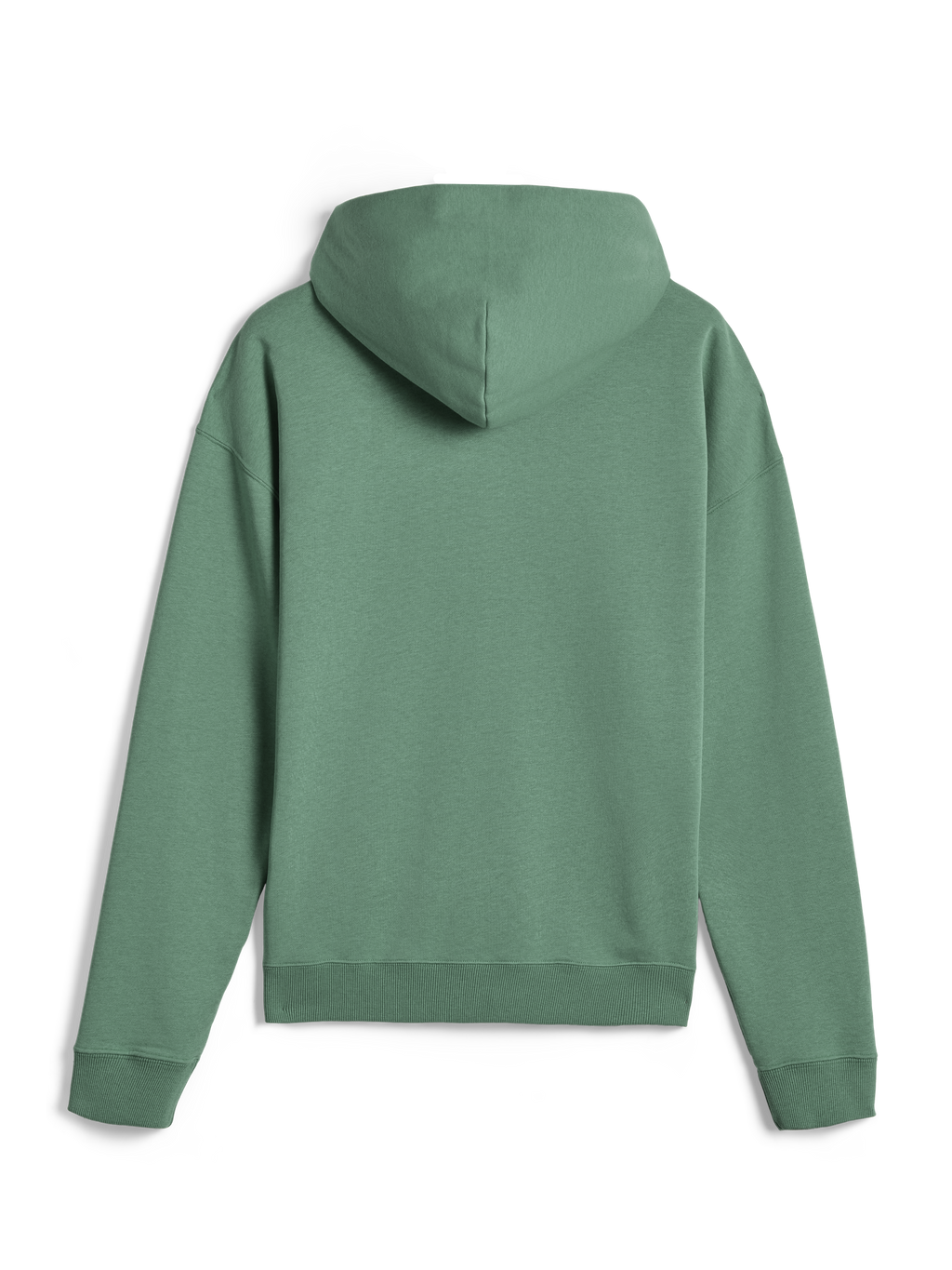 Alpinestars Essentials Ageless Hoodie, lässige Streetwear, Kaktusgrün, Rückansicht, langärmliger Kapuzenpullover mit gerippten Bündchen und Saum, klares minimalistisches Design