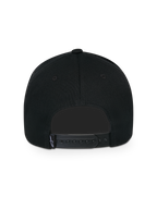 Ageless Snapback Hat