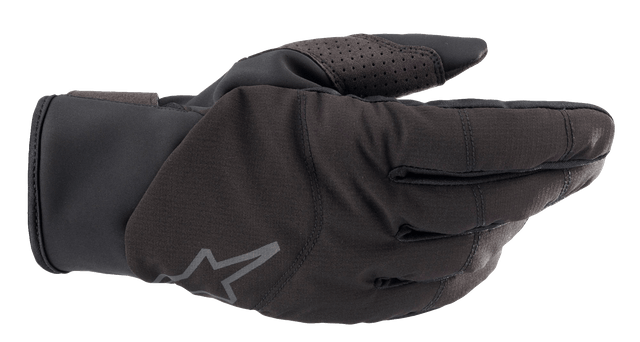 Denali 2 Gloves