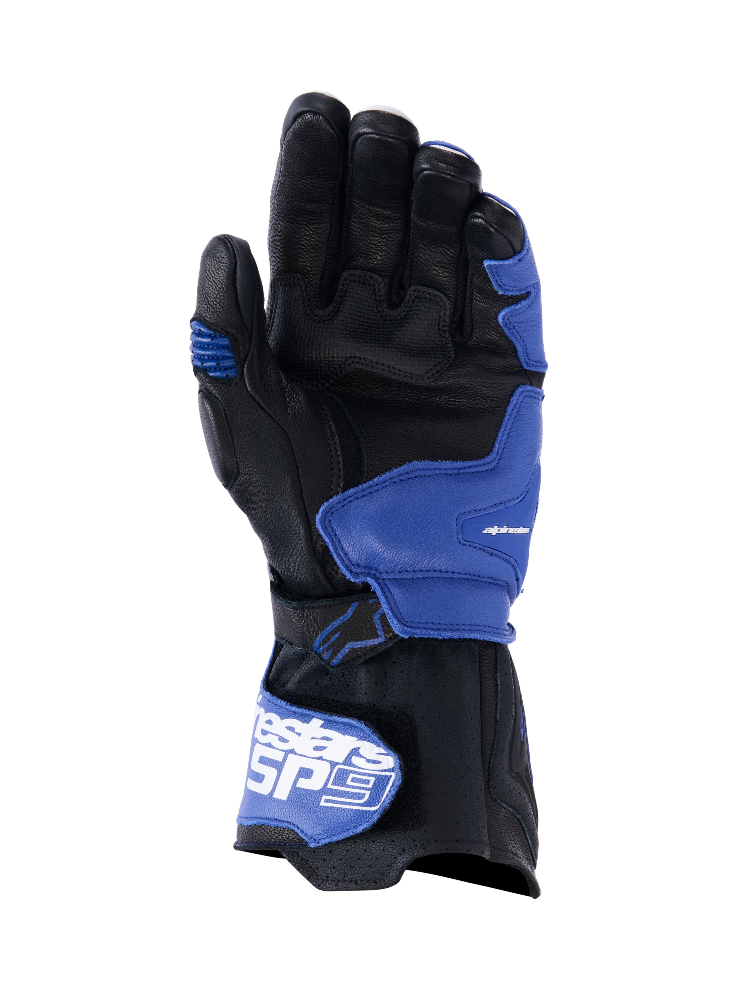 L / Bright Blue Navy White