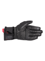 Wt-4 Gore-Tex Insulated Glove