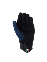 Tracker Handschuhe