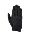 Stated Women's Gloves