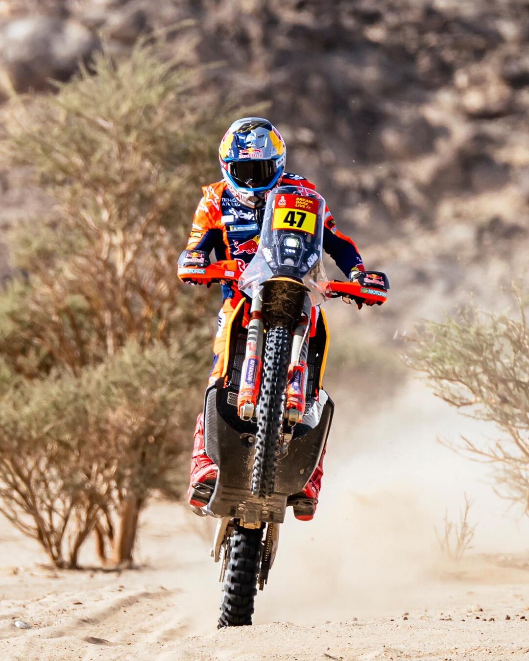 Rally racer Benavides doing a wheelie in the desert riding his KTM and wearing Alpinestars apparel