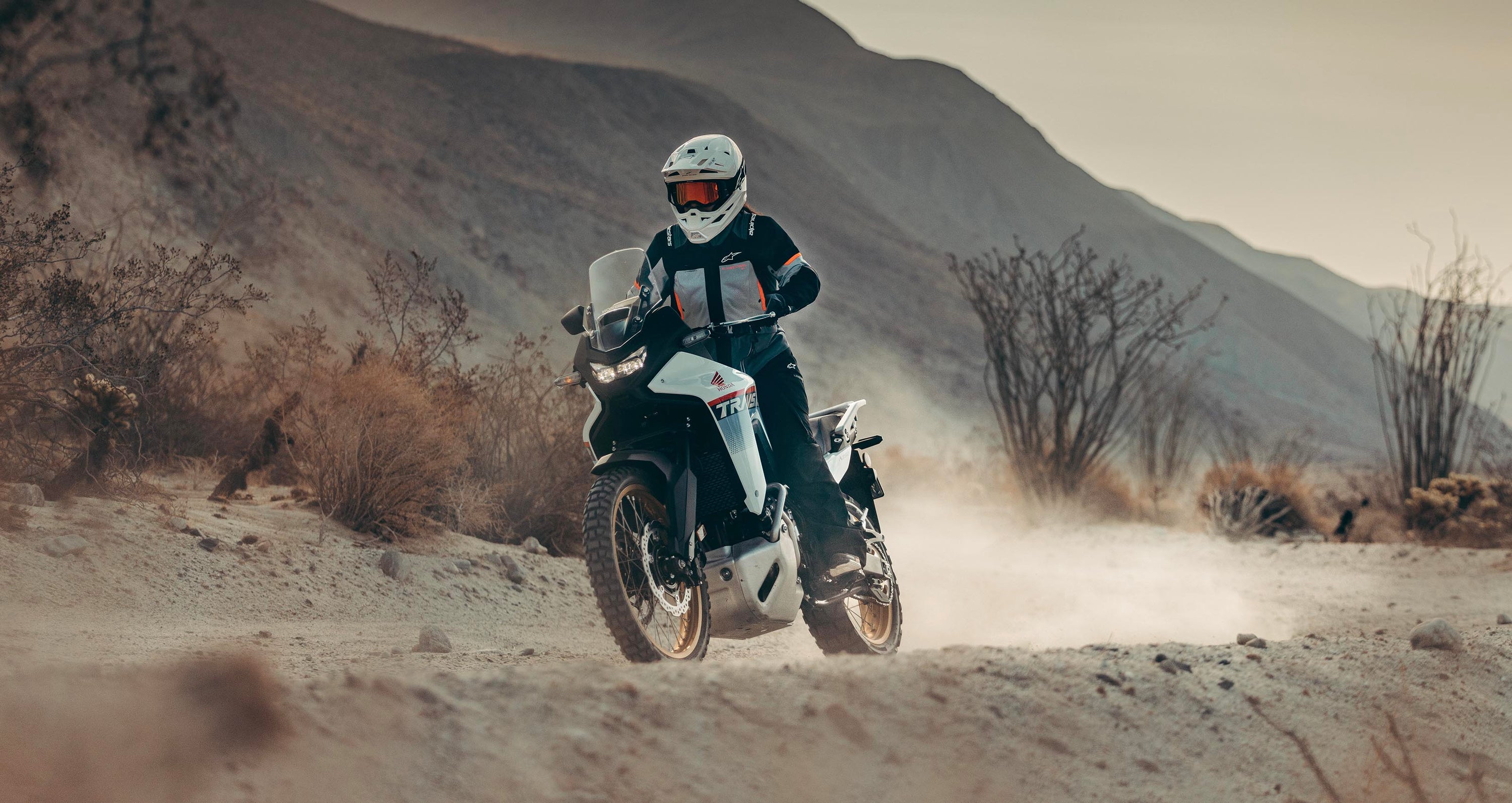 Image 68253792829818