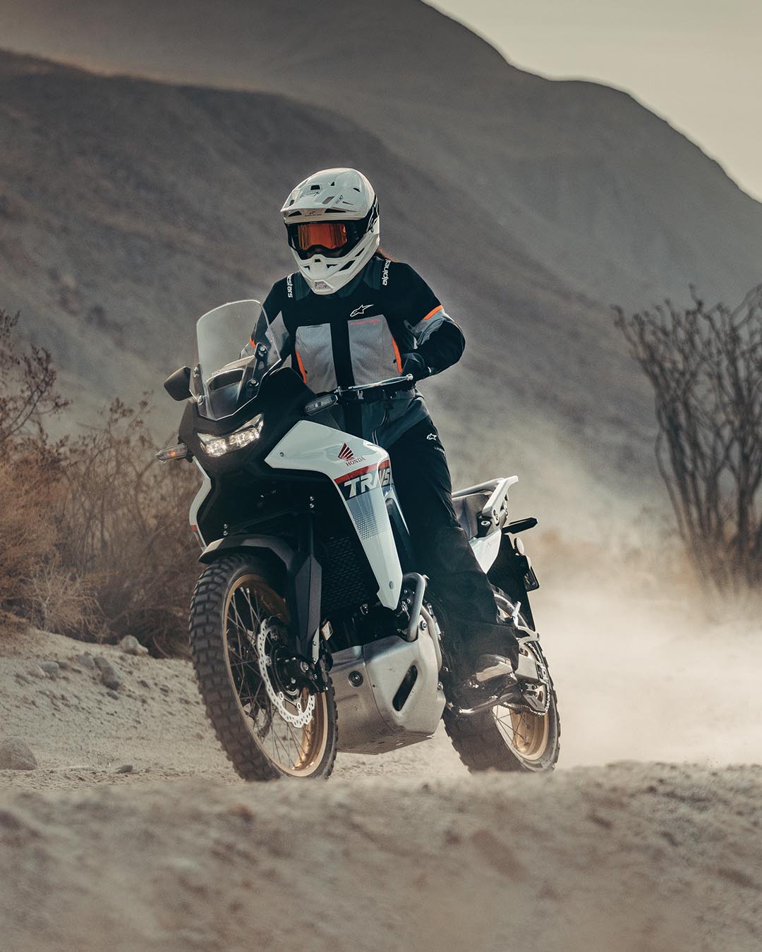 Image 68253742334330