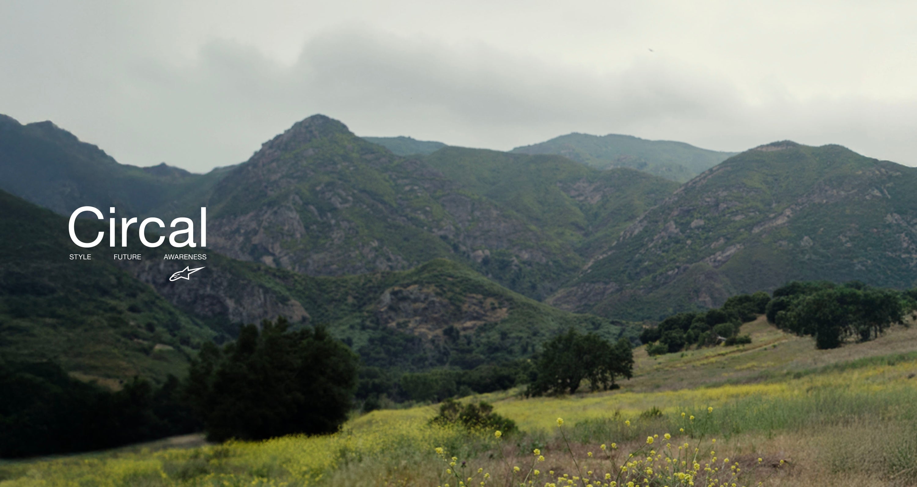 Image 66106828194170