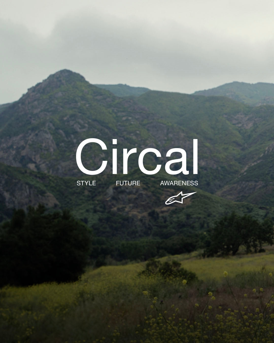 Image 66108642689402